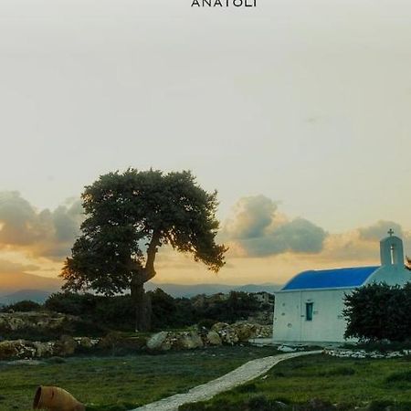 Anatoli Apartment Ambelas Luaran gambar