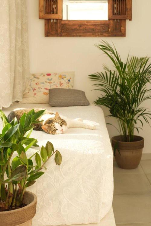 Anatoli Apartment Ambelas Luaran gambar